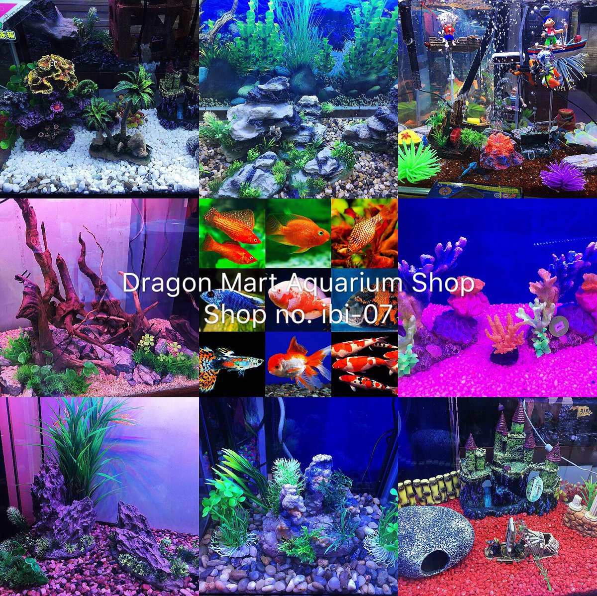 dragon mart aquarium shops