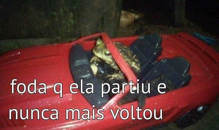 iactose's tweet photo. E nunca mais voltouu https://t.co/zSqR61tvpQ