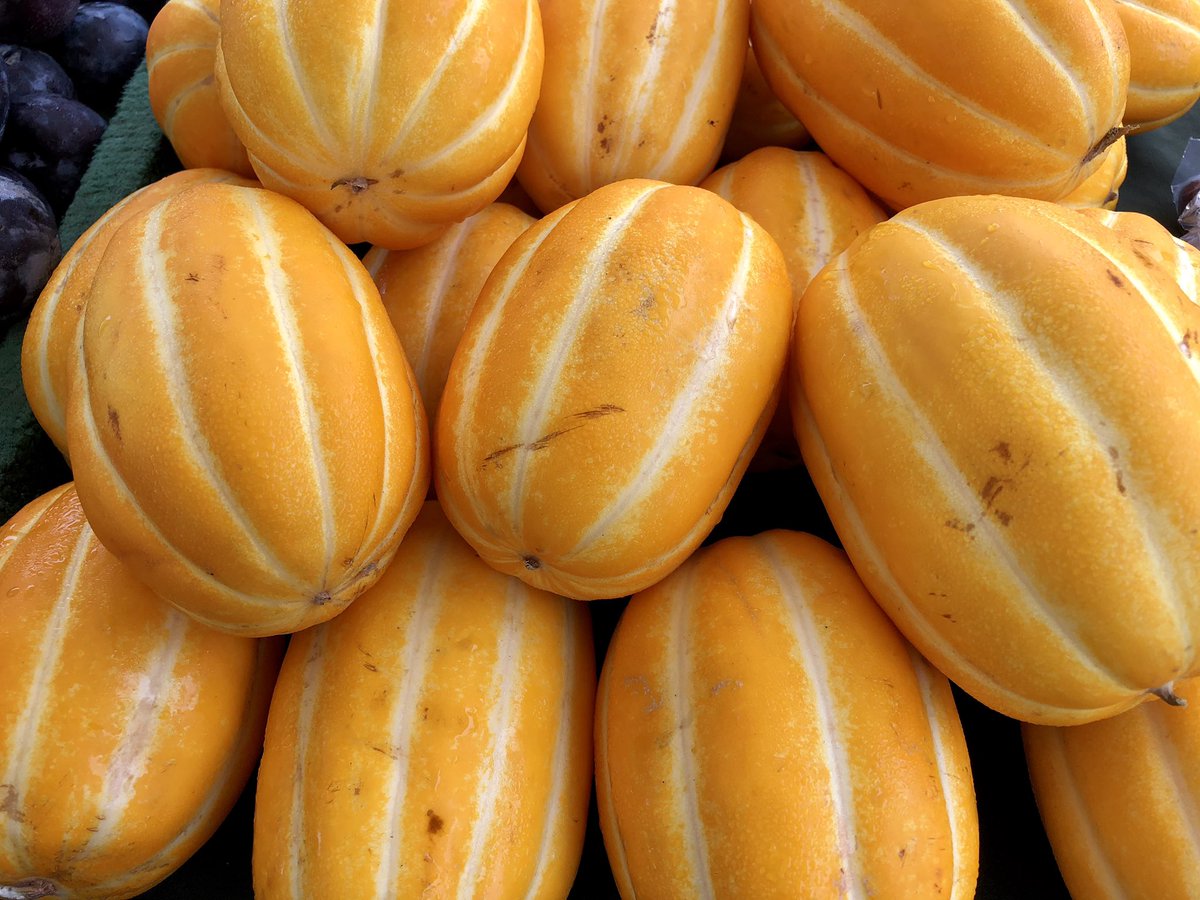 OxnFarmersMkt's tweet photo. All Green Farms has returned to our Market with their seasonal produce of Korean Melon, plums and more. 🍑🍠🍑🍠🍑🍠 #koreanmelon #peaches #nectarines #sweetpotatoes #yams #oxnardfarmersmarket #supportyourfarmers #eatlocal #shoplocal https://t.co/B9nbKO2qHx