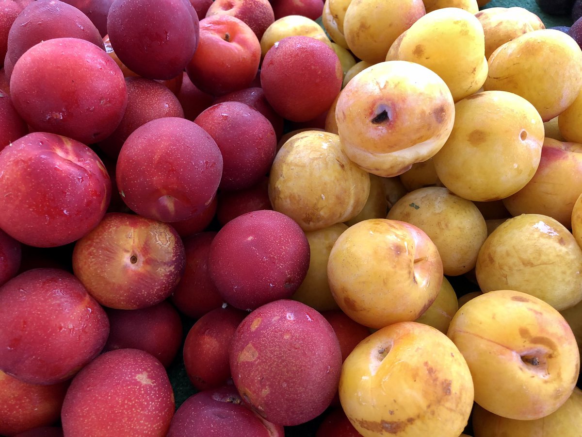 OxnFarmersMkt's tweet photo. All Green Farms has returned to our Market with their seasonal produce of Korean Melon, plums and more. 🍑🍠🍑🍠🍑🍠 #koreanmelon #peaches #nectarines #sweetpotatoes #yams #oxnardfarmersmarket #supportyourfarmers #eatlocal #shoplocal https://t.co/B9nbKO2qHx