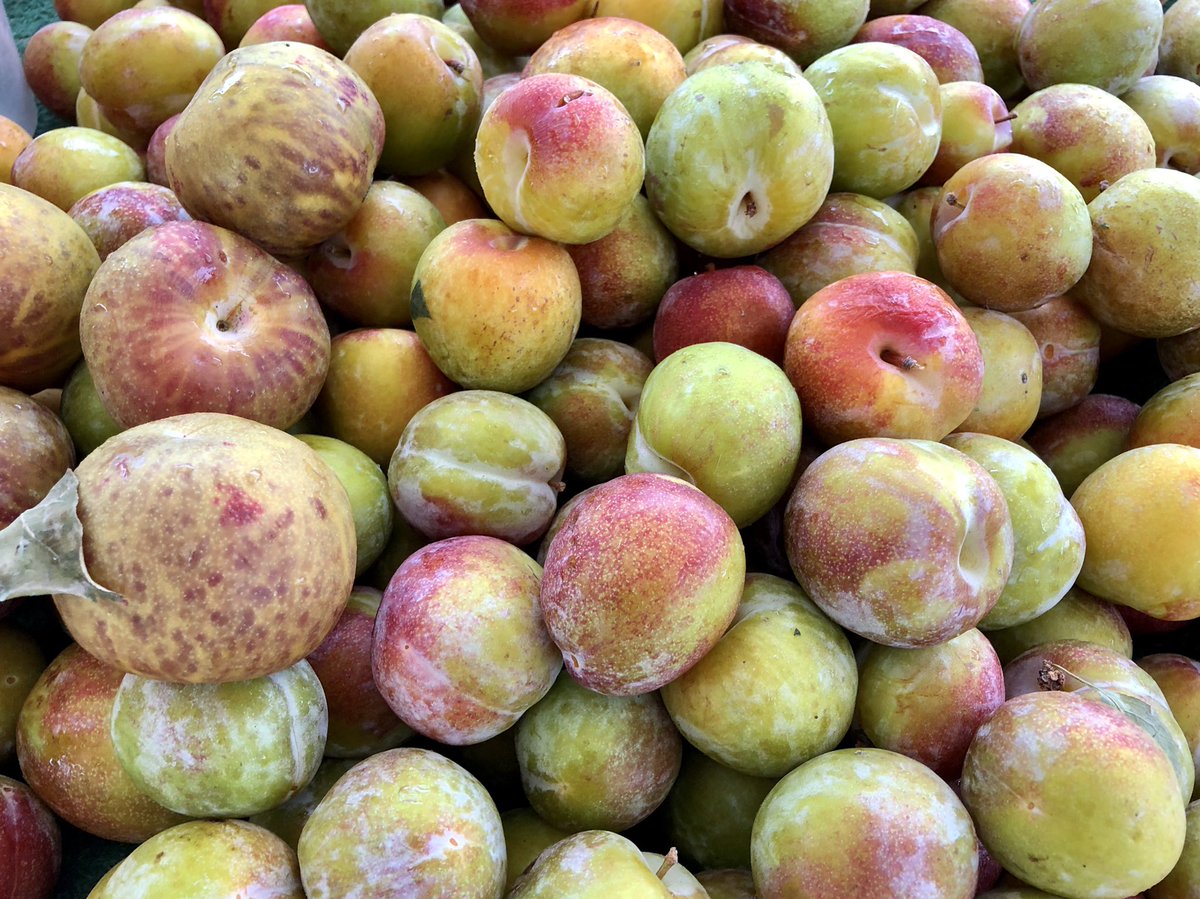 OxnFarmersMkt's tweet photo. All Green Farms has returned to our Market with their seasonal produce of Korean Melon, plums and more. 🍑🍠🍑🍠🍑🍠 #koreanmelon #peaches #nectarines #sweetpotatoes #yams #oxnardfarmersmarket #supportyourfarmers #eatlocal #shoplocal https://t.co/B9nbKO2qHx