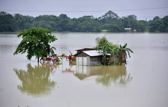 I request all my indian moots to please keep spreading the hashtag if you cannot help with the donations. Assam is in dier condition and the least we can do is bring this to the attention of the authorities by trending it! #AssamFloods2020  #AssamNeedsHelp  #AssamNews