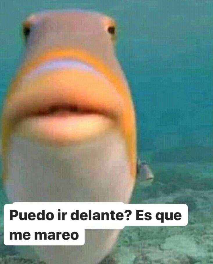 Econatorz's tweet photo. *el secuestrador me mete en el coche*

yo: https://t.co/AZ9VnfVGLo