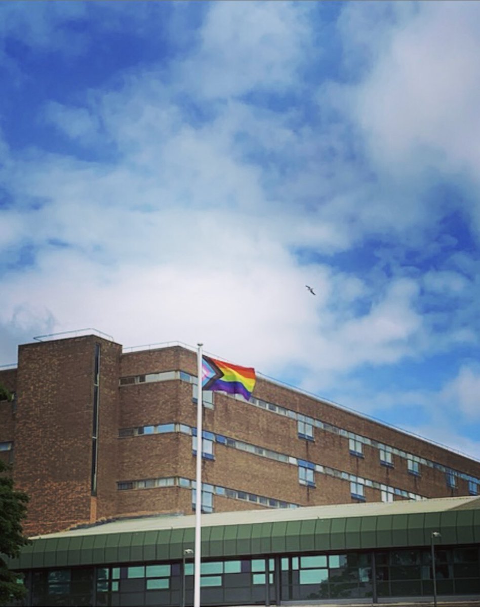 NUTHEqualities's tweet photo. As we approach Northern Pride the rainbow flags are flying high @NewcastleHosps #PRIDE2020 #lgbt “we see you and you are valid” https://t.co/aqin9LOhAi