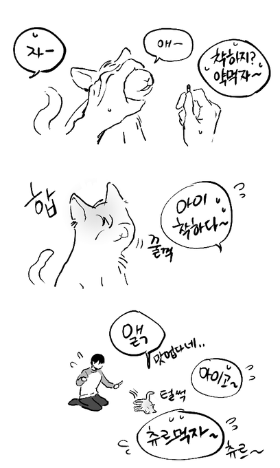 현제냥이랑 유진냥이 약 먹을때... 