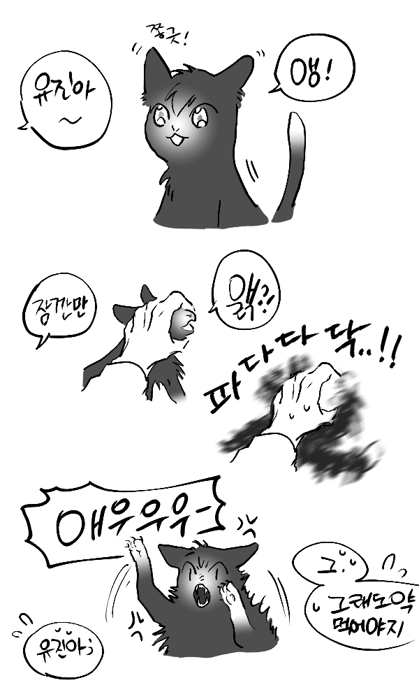 현제냥이랑 유진냥이 약 먹을때... 