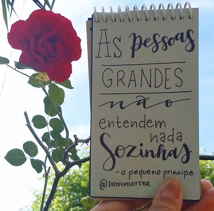 O Pequeno Príncipe tweet media