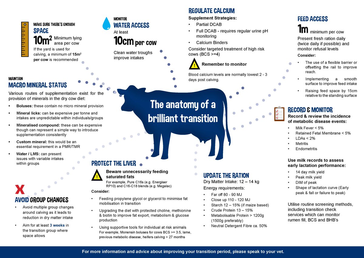 KingshayFarming's tweet photo. Calving is just around the corner for autumn calving herds. Good management at drying off and during the dry period will pay dividends during the next lactation.
#farminguk #teamdairy #autumncalving #farmers #DairyFarmers https://t.co/L0bfRljYCf