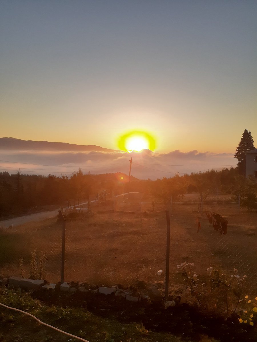 sedatsoker's tweet photo. @pelinciktr_ Benim evim https://t.co/YyQhYkgbQo