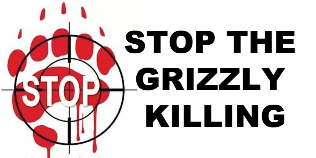 MonicaMagnetti's tweet photo. https://t.co/U402IH9BZ5
Over 90% of British Columbia’s said NO to Grizzly Killing for Trophy or Sport  #DontDelistGrizzlies #grizzlybears #stoptrophyhunting #bantrophyhunt #stopgrizzlyhunt https://t.co/FIhk84cdzP