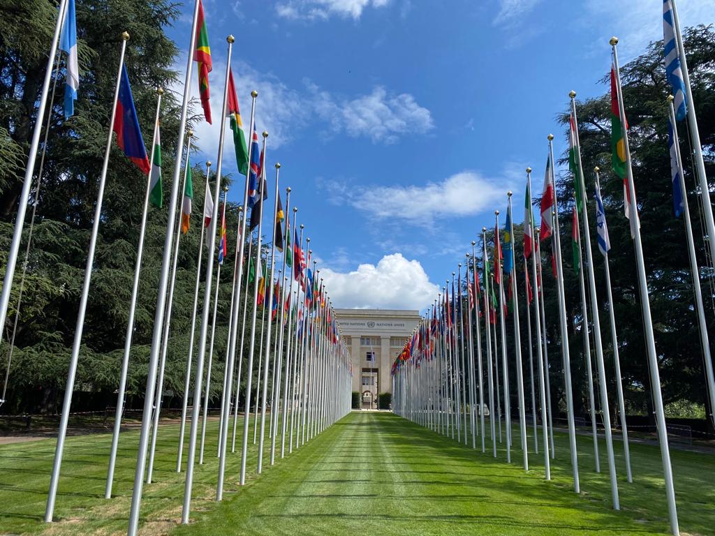 Netherlands Mission in Geneva tweet media