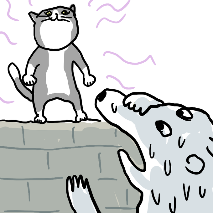 地の利を得た猫 