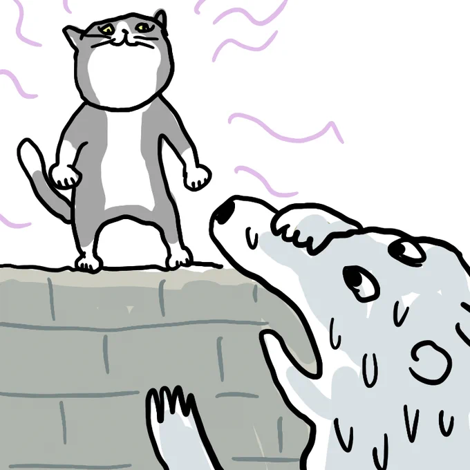 地の利を得た猫 