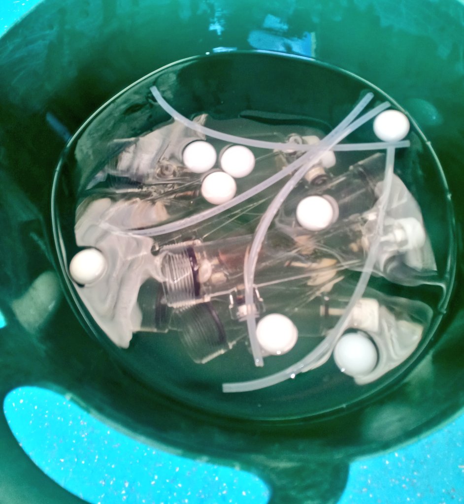 tabamatu's tweet photo. It's important to give your balls a good soaking from time to time.
#linecleaning https://t.co/jl3Wngs2TH