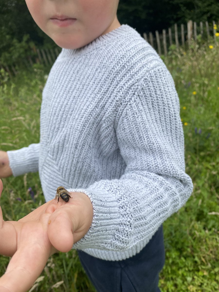 Steve_P_Barker's tweet photo. Big assed drone on my sons hand.  #BeekeepersHour https://t.co/uF1sreaahu