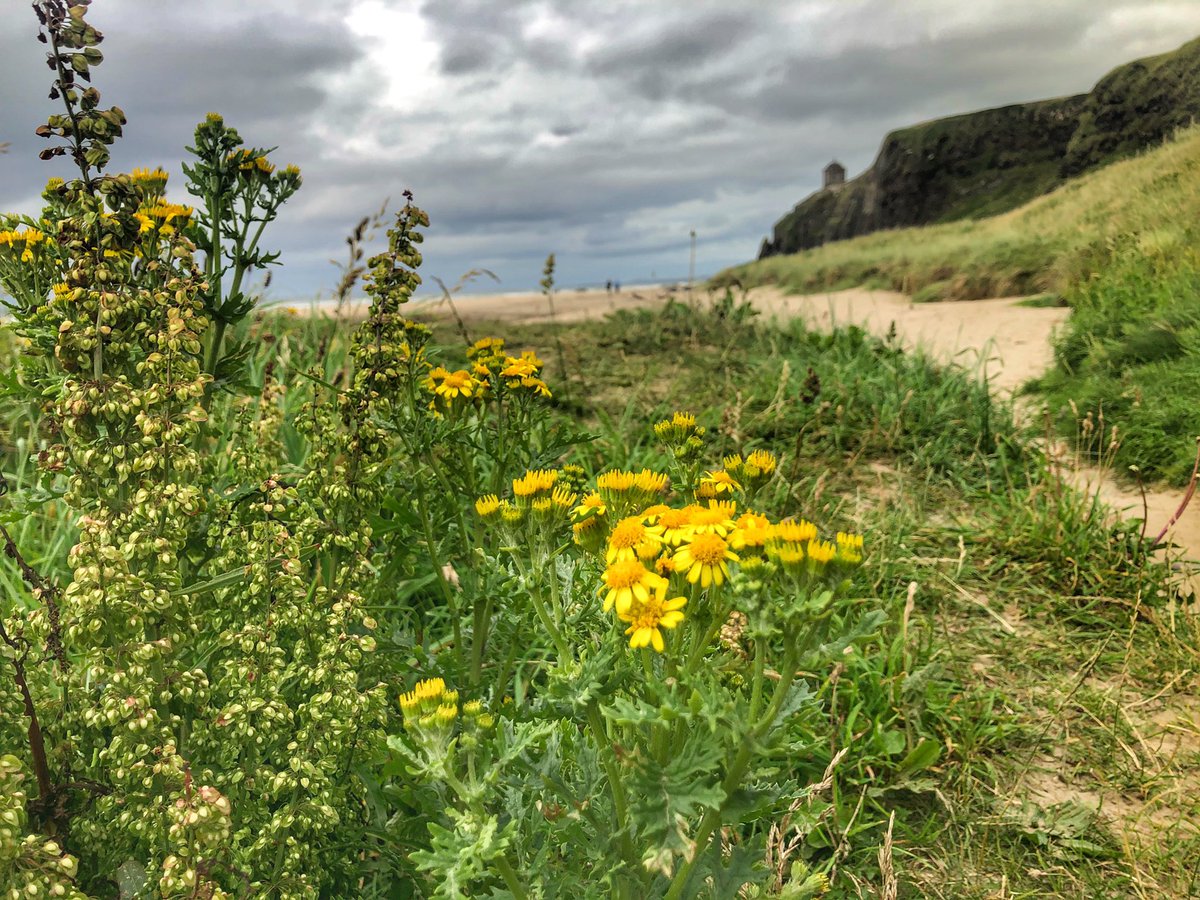 Alan Bratton (@alanbratton) on Twitter photo Downhill this evening. <a href="/newslineweather/">IrishWankers</a> <a href="/bbcweather/">BBC Weather</a> <a href="/VisitCauseway/">Visit Causeway Coast & Glens</a> <a href="/DiscoverNI/">Northern Ireland</a> <a href="/WeatherCee/">Cecilia Daly</a> Downhill this evening. <a href="/newslineweather/">IrishWankers</a> <a href="/bbcweather/">BBC Weather</a> <a href="/VisitCauseway/">Visit Causeway Coast & Glens</a> <a href="/DiscoverNI/">Northern Ireland</a> <a href="/WeatherCee/">Cecilia Daly</a>