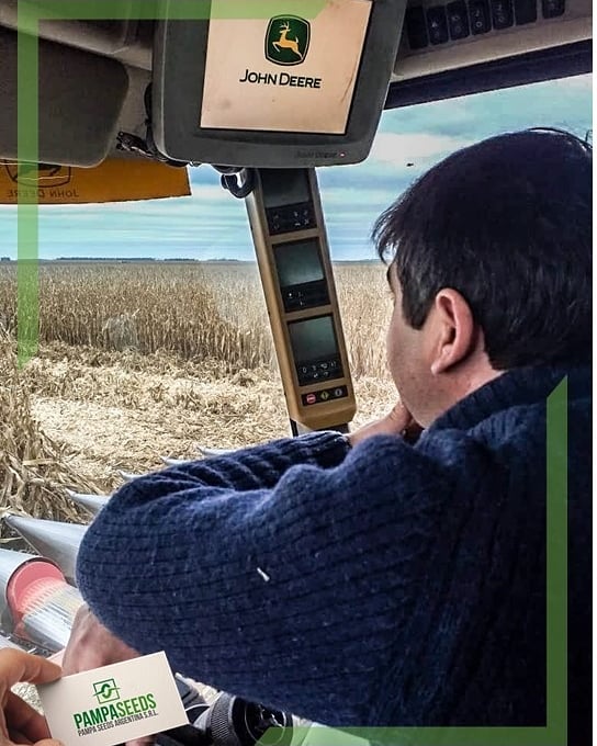PampaSeeds's tweet photo. "Cosecha Campo Líder"
🌽AX 7761 VT3P.
🌽NS 7818 VIP3.
🌽AX 7784 VT3P.
🌽NS 7917 VT3P.
✔Densidades de 50.000, 70.000 y 100.000 pl/ha.
✔Testigo AX 7761 VT3P.
#ConsechaMaíz #CampoLíder #HíbridosNidera #AX7761 #NS7818 #AX7784 #NS7917 #NideraSemillas #PampaSeeds https://t.co/xdd3QSjTzQ