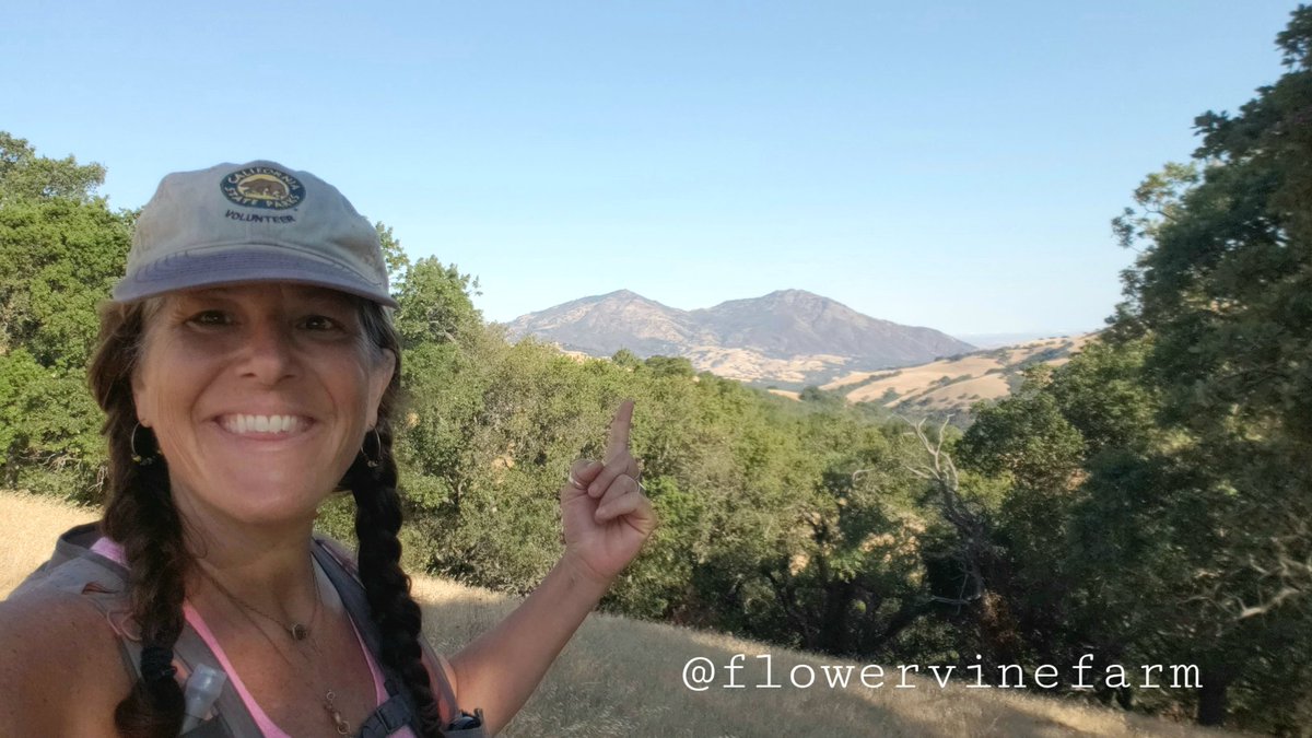 I'm so far east of Mt. Diablo, the region is vast and I aim to conquer all the trails, rain or shine, or sleet and snow, something like that. 🙂
#MountainRunner #trailrunner #trailrunnertracy #HaveFun #runner #vegantrailrunner #ContraCosta #mtdiablo #NeverGiveUp