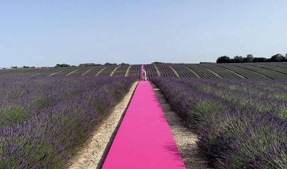 xuagraam's tweet photo. les défilés jacquemus c’est vraiment quelque chose. c’est si beau, on dirait un rêve https://t.co/5mbD7jXFLk