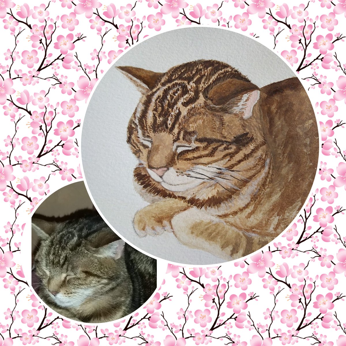 Wendolph tweet media