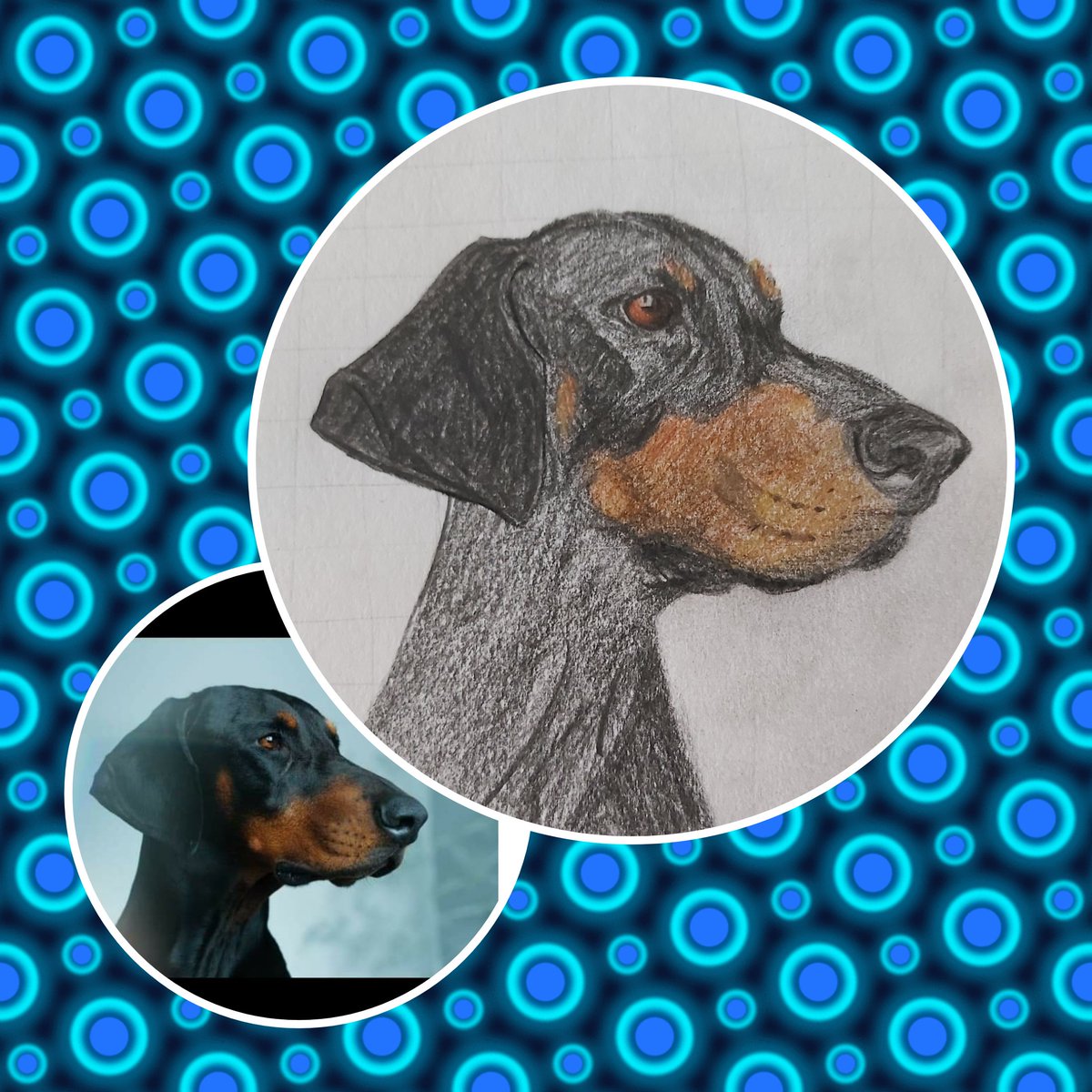 Wendolph tweet media