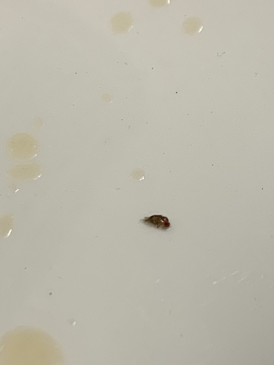 Tee Hill tweet media