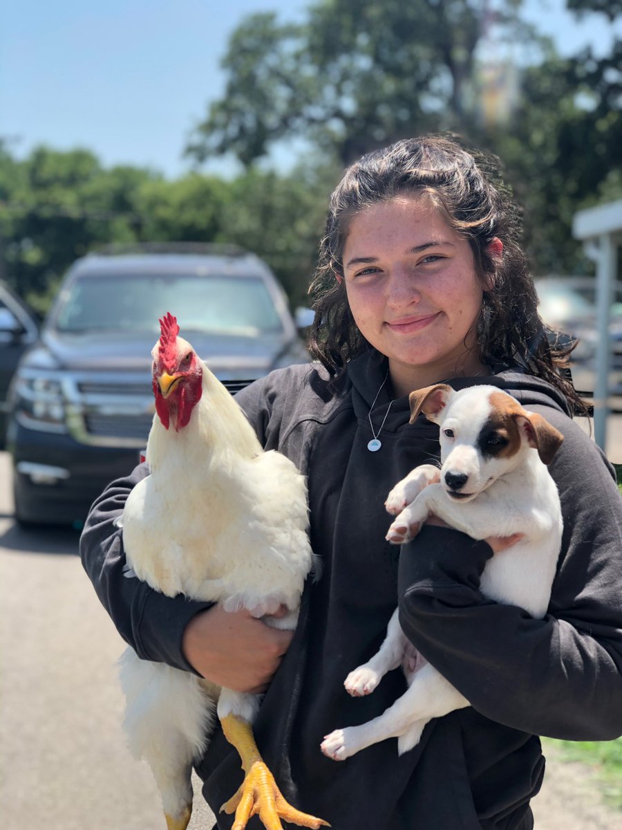 brandilou377's tweet photo. 🐔👧🏽🐶=❤️ https://t.co/5Izi0SO26m