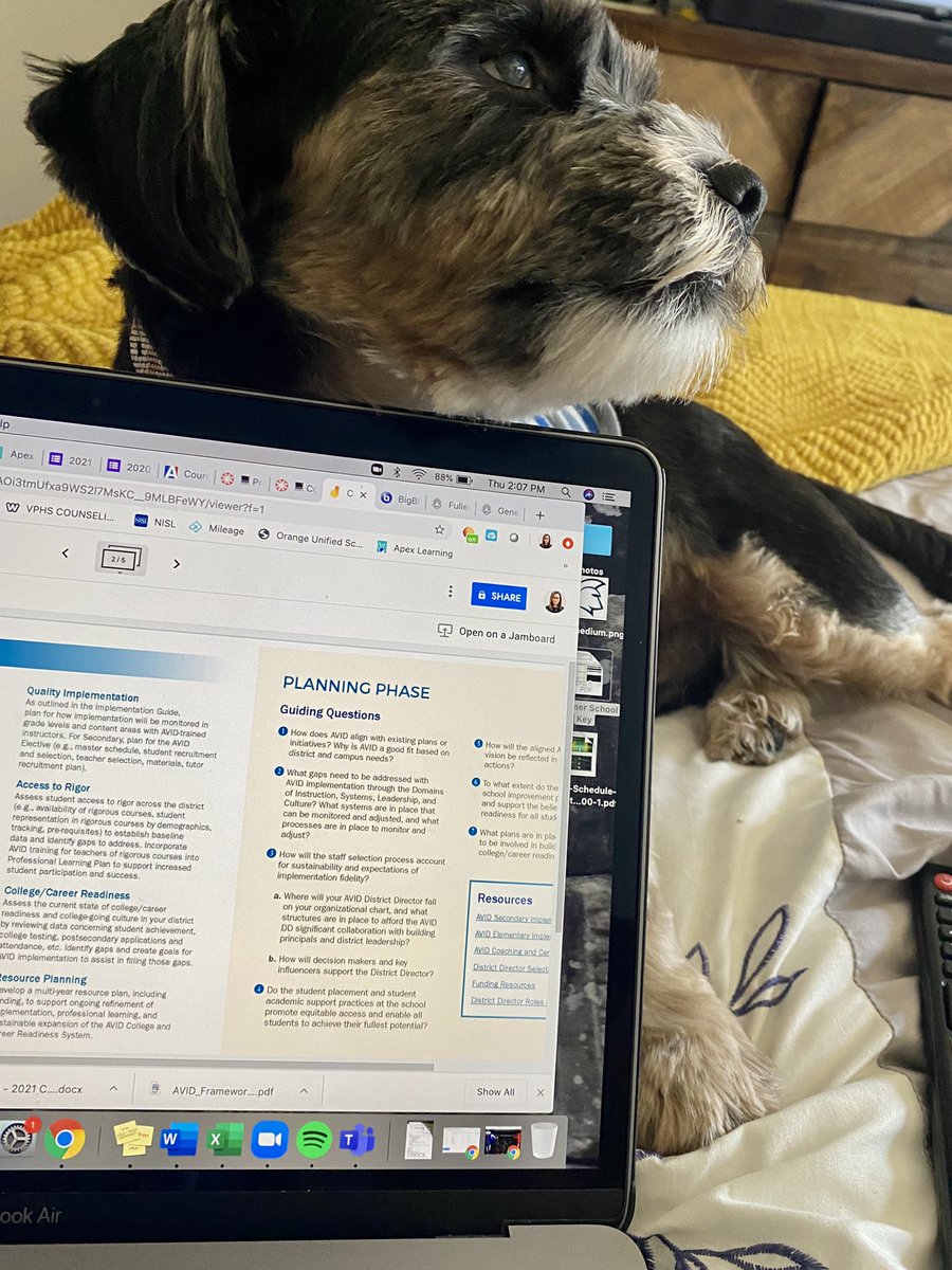 DrOsman_EDU's tweet image. #asynchronouslearning session for #aviddigitalXP with my little office assistant Teddy 🐶 #thisisAVID @vphsavid @AVID4College @OrangeUnifiedCA