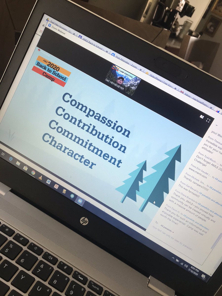 janetbmacleod's tweet photo. Thank you #AMLEcamp for a very full , informative and motivating camp experience #virtualcamp #middleschooleducators #iteachkidsnotcurriculum @AMLE @rickwormeli2 @desautels_phd https://t.co/z3KPvJhvic