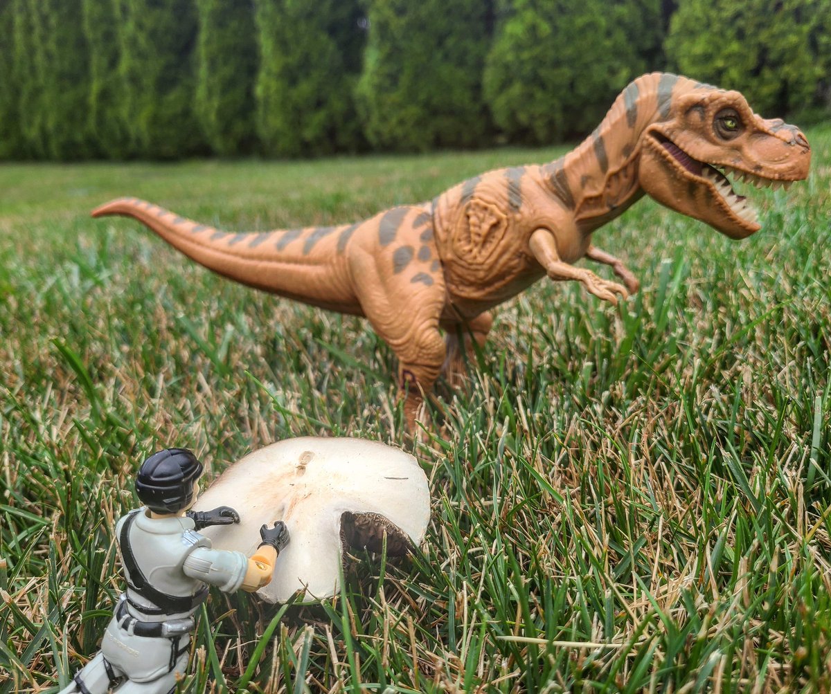 'Staying Hidden'

#gijoe #gijoecollector #gijoenation #gijoetoys #gijoecommunity #90snostalgia #jurassicpark #jurassicworld #tyrannosaurus #arah #toycrewbuddies #toyartistry #epictoyart #toy_epic #hasbro #toyphotography #toyuniverse #yojoe #usa #toygroup_alliance