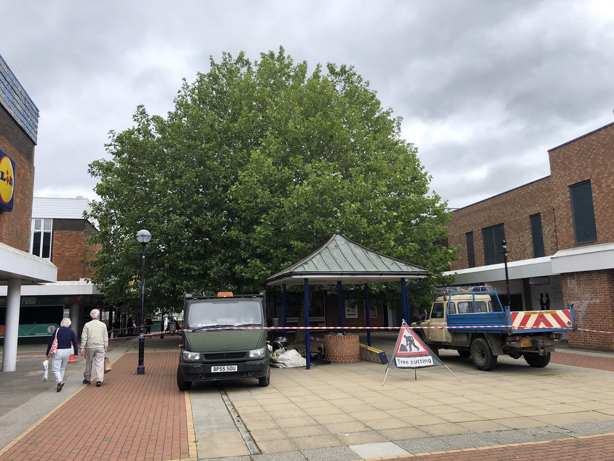 BSEFacilitiesM's tweet photo. Before and After shots following the tree work today...now ready for shops to open - let there be light!! https://t.co/yHwBWHgkVT