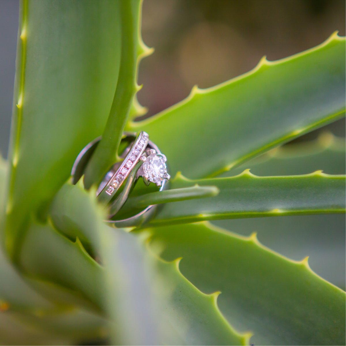 I love using the surroundings to capture the story of your special day...
kimsteinberg.com
+27 799832641
info@kimsteinberg.com