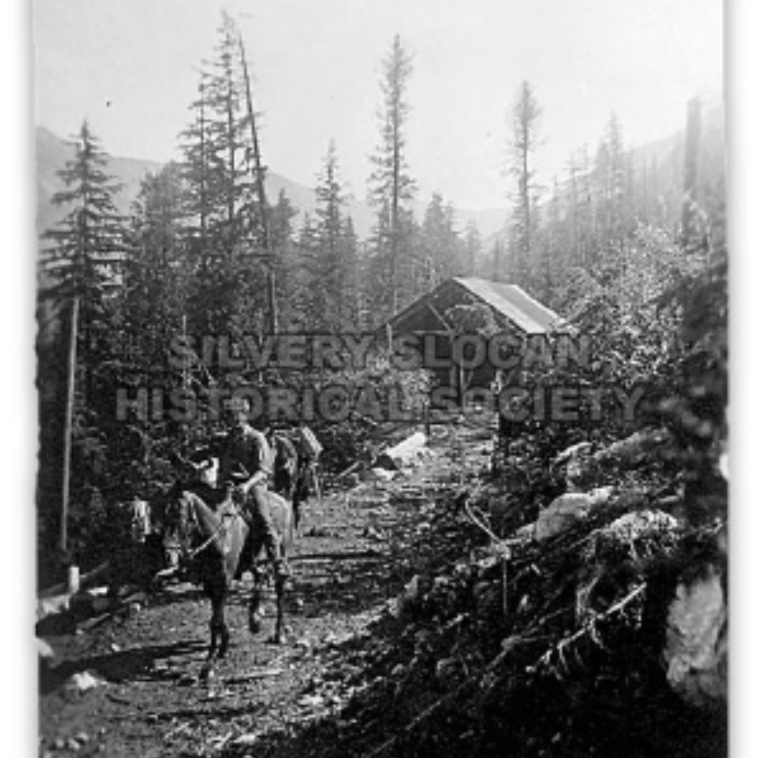 OkanaganHistory's tweet photo. Did you know that yesterday was #ilovehorsesday ? In celebrations, let's #TBT to this day in 1927, where this fellow was riding away from Index Mine.

#bchistory #inthearchives

Photograph courtesy of Silvery Slocan Historical Society

Silvery Slocan Historical Society https://t.co/DgBIlEU9ao