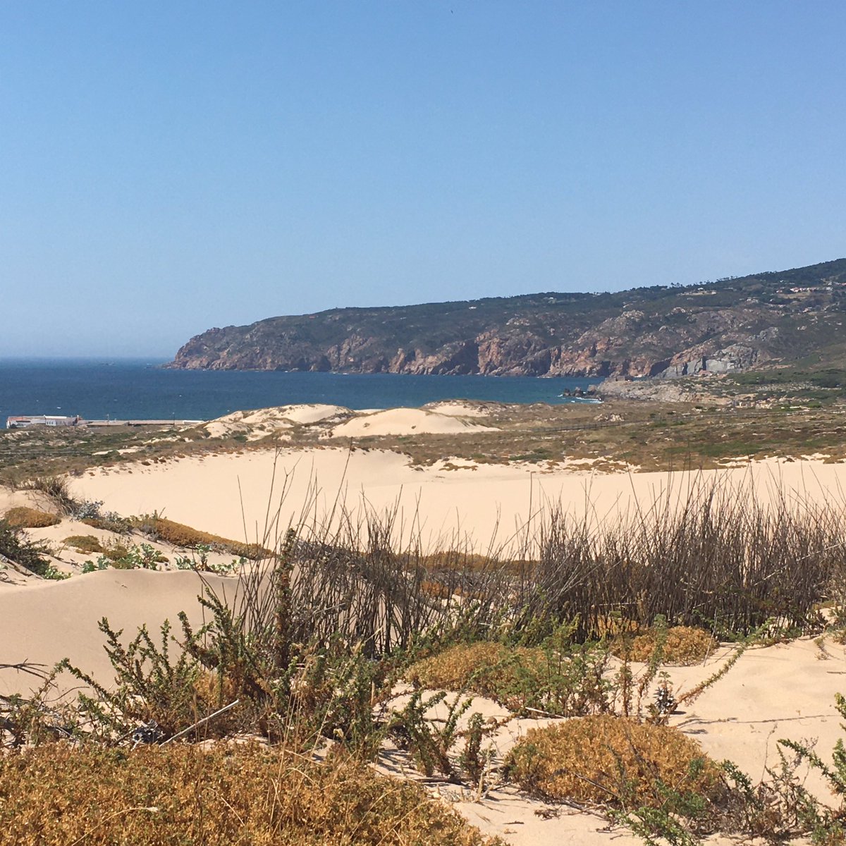 SamanthaBertish's tweet photo. We drove from Switzerland to Portugal this week. One home to another. Today we got to see why we love Portugal so much.
#tornbetweentwocountries https://t.co/MyVfyfGDeY