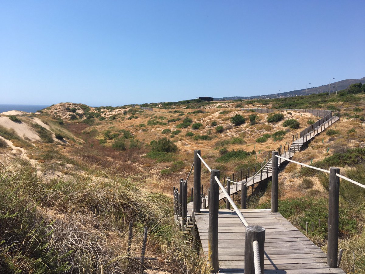 SamanthaBertish's tweet photo. We drove from Switzerland to Portugal this week. One home to another. Today we got to see why we love Portugal so much.
#tornbetweentwocountries https://t.co/MyVfyfGDeY