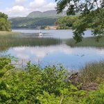 Photo by MyCarrick.ie (@MyCarrick)