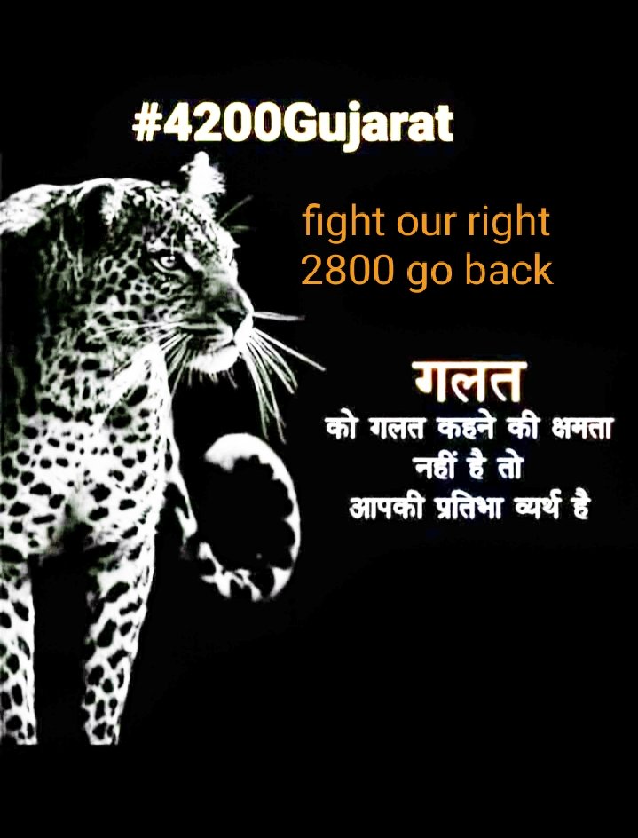 #4200Gujarat16