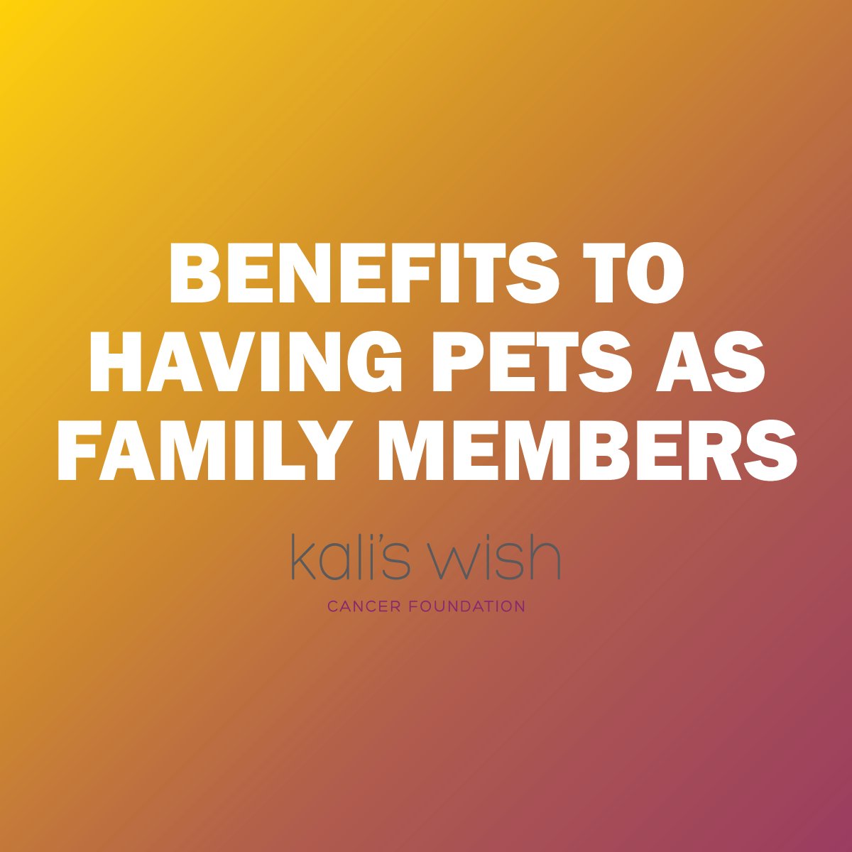 kalis_wish's tweet photo. Pets naturally become part of the family. Did you know that we also receive great and varied benefits from our pets? Read on to learn more!

https://t.co/zYZmXWddva

#kaliswish #kaliswishfoundation #petsarefamily #peteducation #pets #mustlovepets #petcancersupport https://t.co/SRIMUENaQi