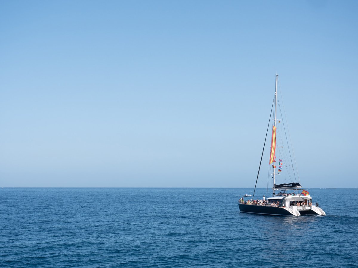 A great day to come together again.

We’ve been looking forward to being able to sail again after a lengthy stop due to the COVID-19 and at last the day has come.  #costaadejeyourguarantee #visittenerife #Tenerife #summertime 

freebirdone.com/a-great-day-to…