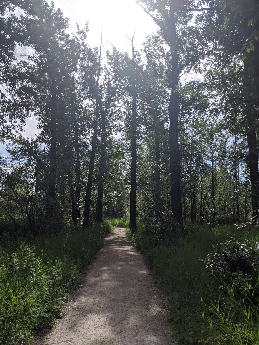 This week has been tough and I'm tired. So instead of a couple hours in the car and a big hike, I stayed in town and had a nice 5k walk at a local park.  #MentalHealthHikes