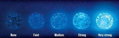 Whiteflash's tweet image. It's Diamond Quiz Day! 💎 Head to our IG story and test your Diamond knowledge now! #Whiteflashdiamonds #DiamondQuiz

instagram.com/whiteflashdiam…