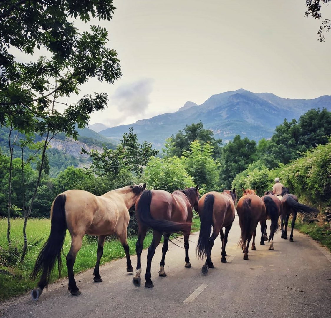 Benasque_'s tweet photo. Sesué (valle de Benasque) https://t.co/DhjfbxjrOS