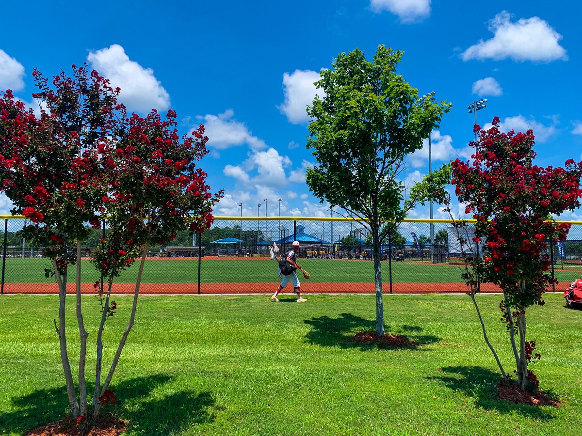 Myrtle Beach Sports tweet media