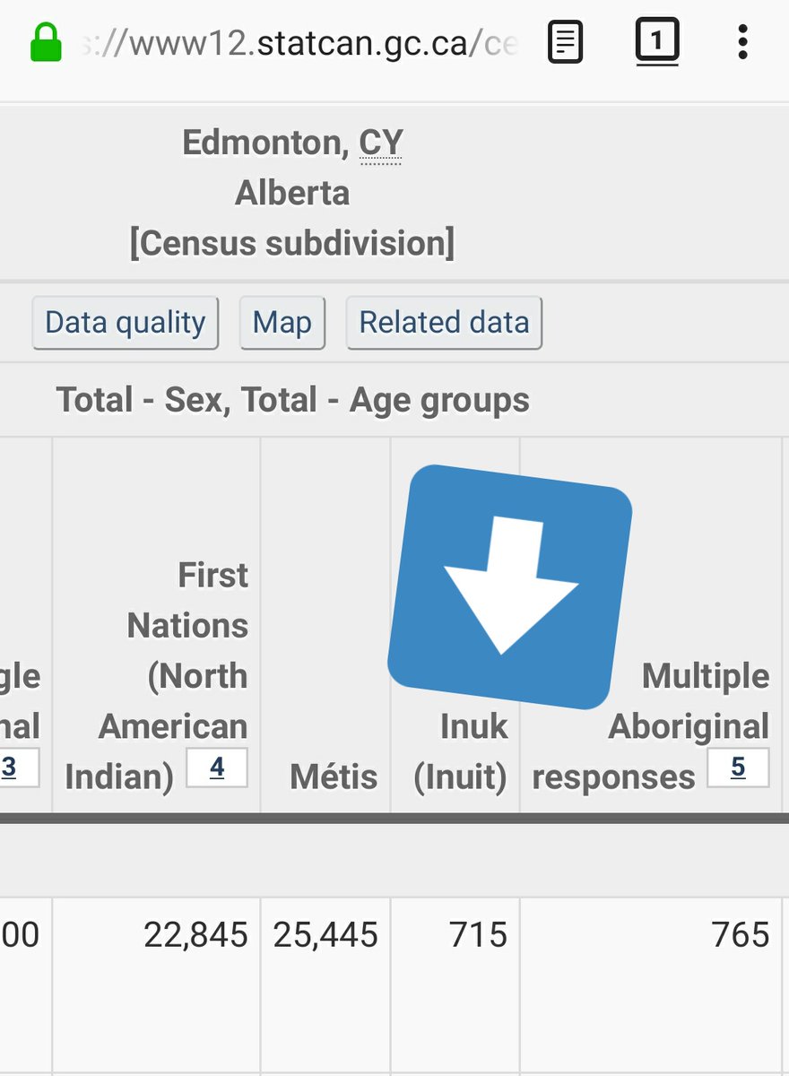 Last federal census identified at least 715 Inuk in Edmonton.