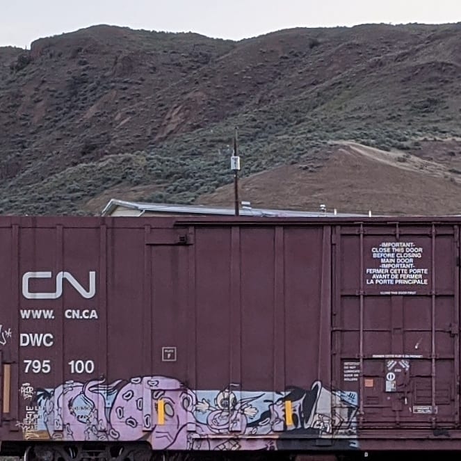GraffitiExpress's tweet photo. topsi
#kamloops #train #graffiti #art
#topsi https://t.co/FeK9XLIFI2