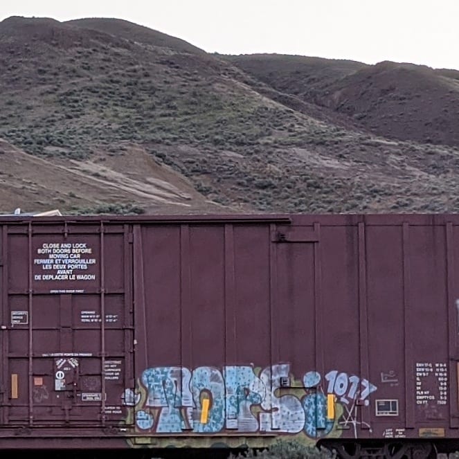 GraffitiExpress's tweet photo. topsi
#kamloops #train #graffiti #art
#topsi https://t.co/FeK9XLIFI2