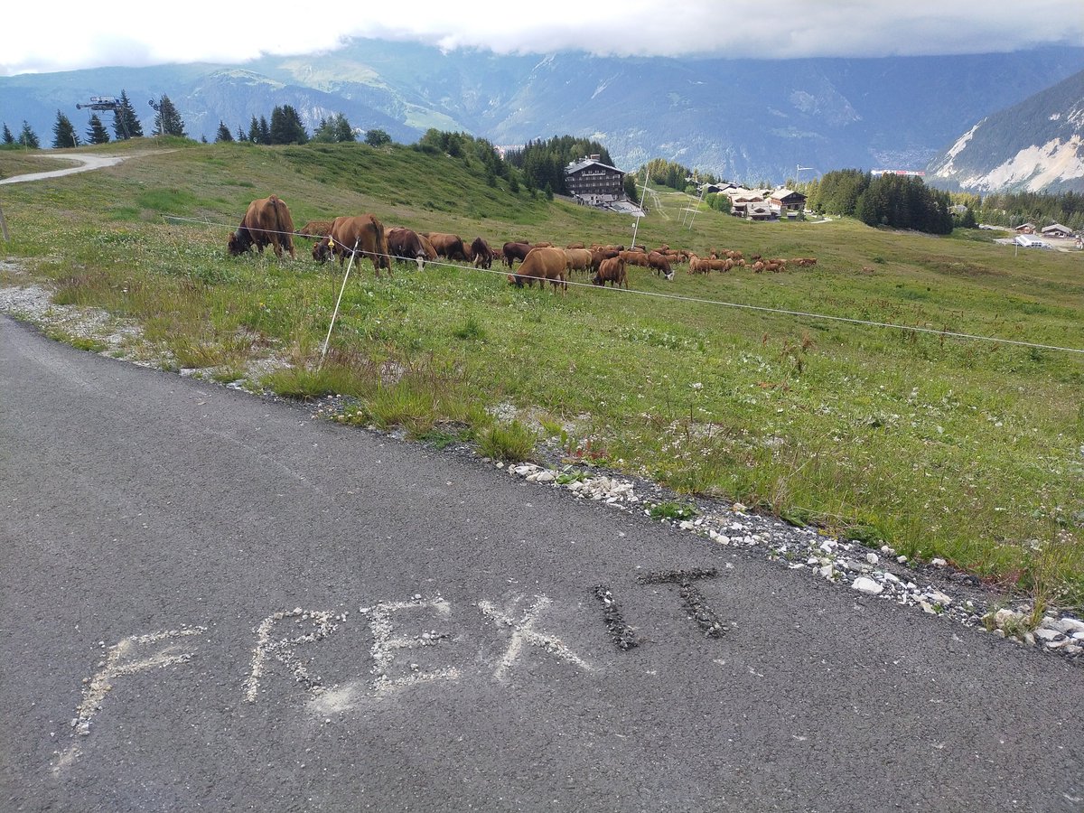 DumonsClement's tweet photo. Petite ballade en montagne #Frexitchallenge cc @CitoyensFrexit @Zamanezamane9 https://t.co/9G2DauZOI2