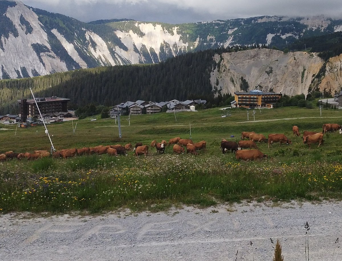 DumonsClement's tweet photo. Petite ballade en montagne #Frexitchallenge cc @CitoyensFrexit @Zamanezamane9 https://t.co/9G2DauZOI2