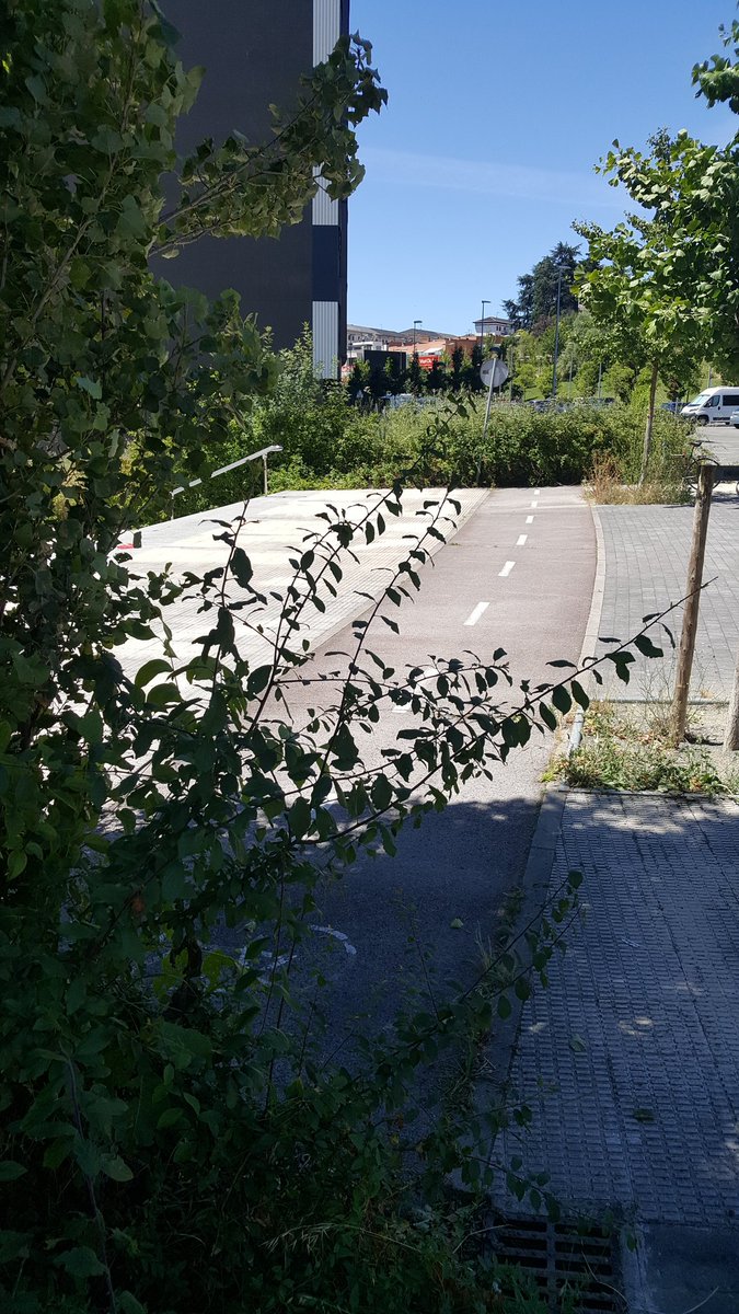 Aukido's tweet photo. #carrilbici #Iruña

Elige tu propia aventura https://t.co/K5ERmsmVaO