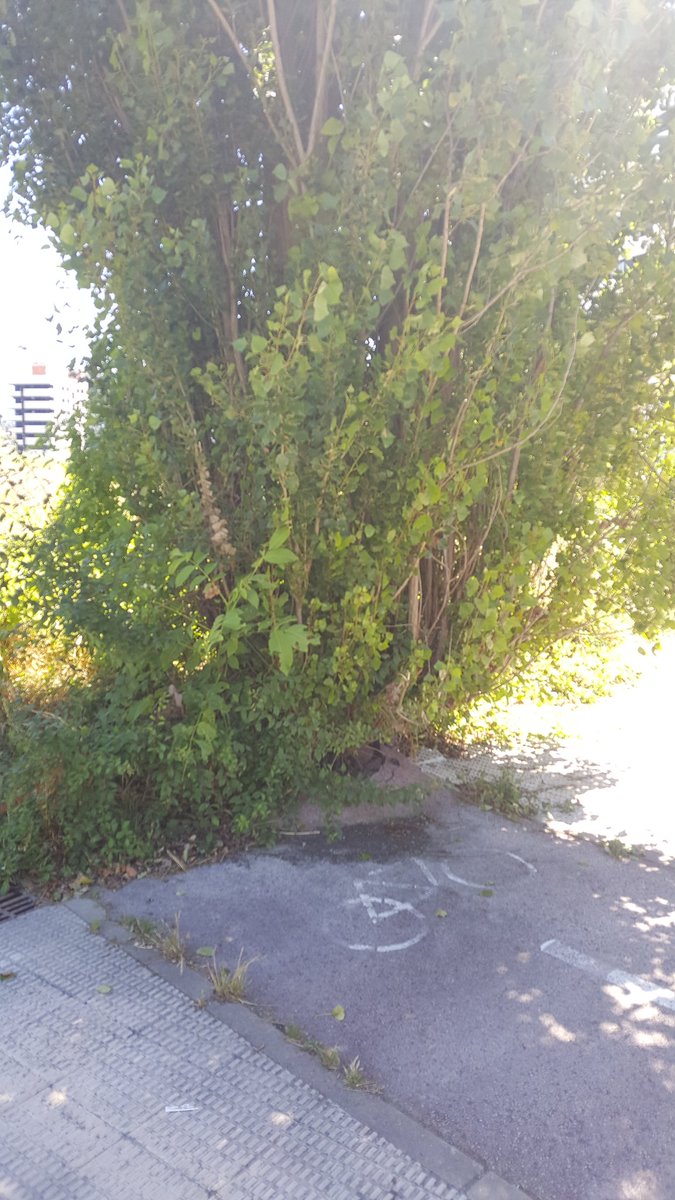 Aukido's tweet photo. #carrilbici #Iruña

Elige tu propia aventura https://t.co/K5ERmsmVaO